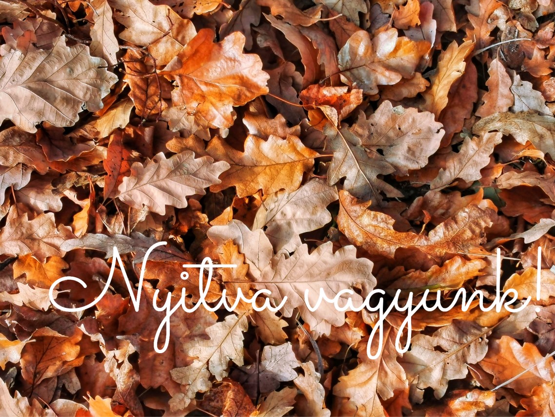 NYITVA VAGYUNK!