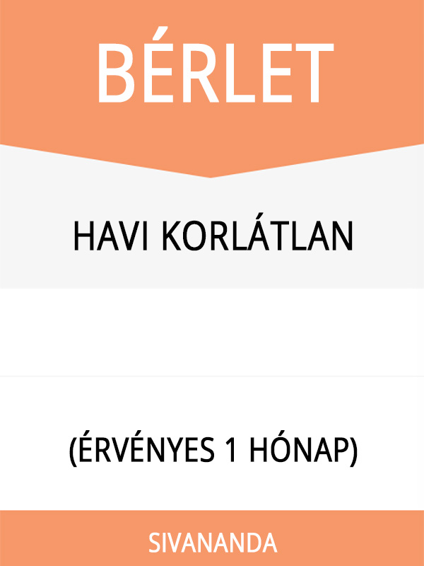 HAVI KORLÁTLAN BÉRLET