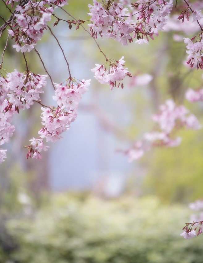 Karma jóga lehetőségek